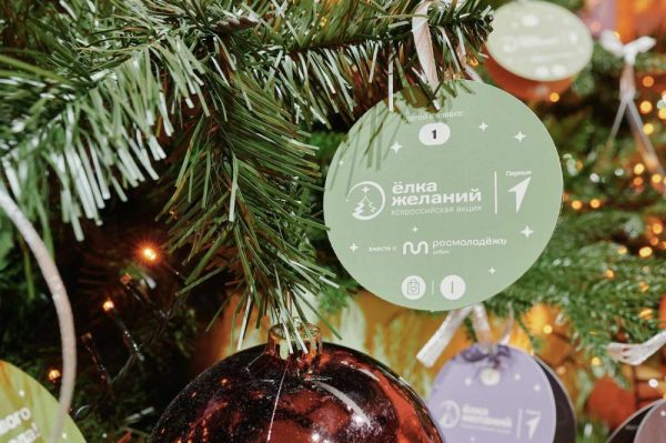 Всероссийский Дед Мороз дал старт благотворительной акции «Ёлка желаний»